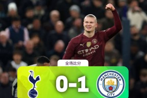 开云-哈兰德重要时刻表现优异，德国队带队取胜！上演精彩一战的简单介绍